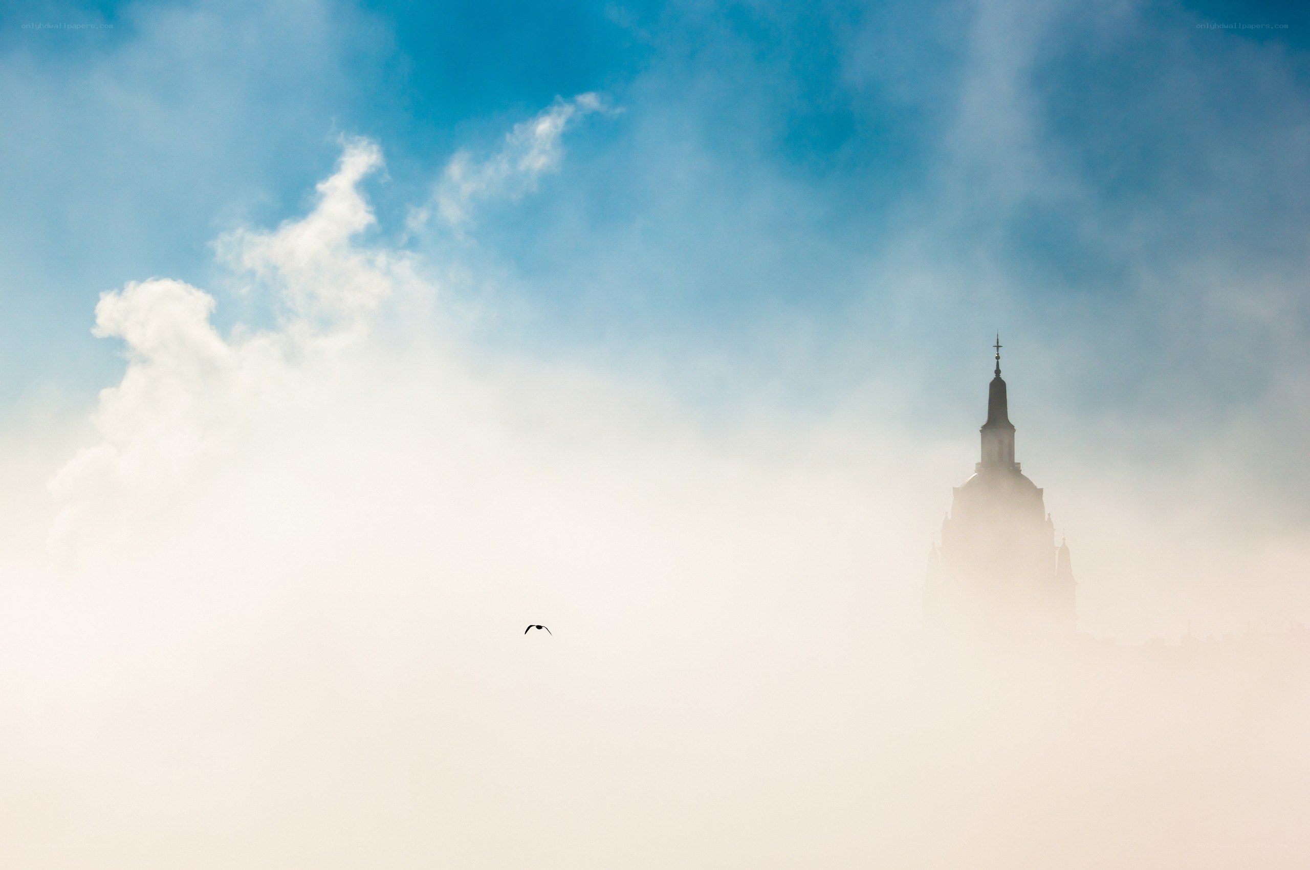 Bird flying over foggy tower