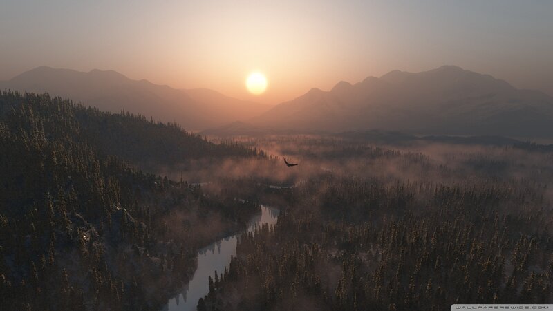Bird Flying over Forest — Orange