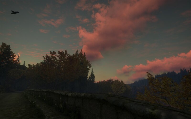 Bird Flying over Forest — Pink