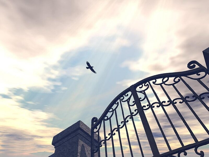 Bird Flying over Gate — Blue