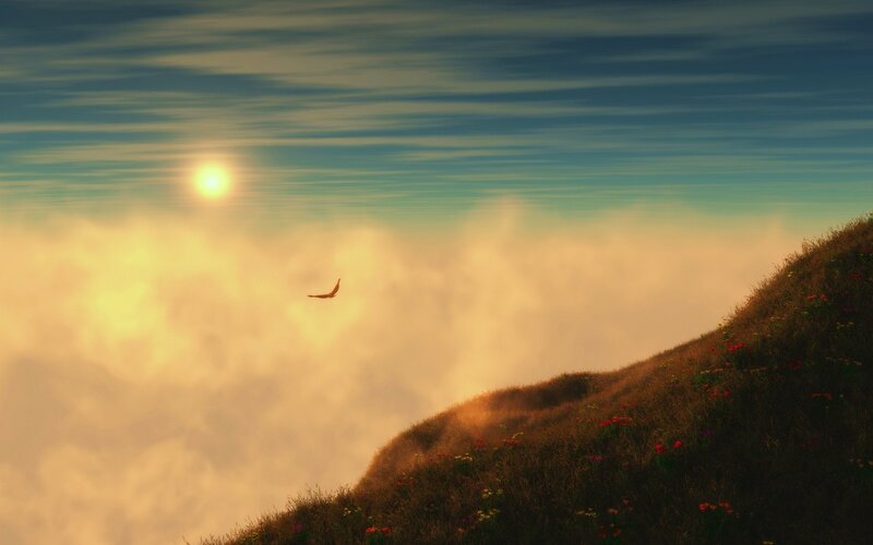 Bird Flying over Hill — Blue