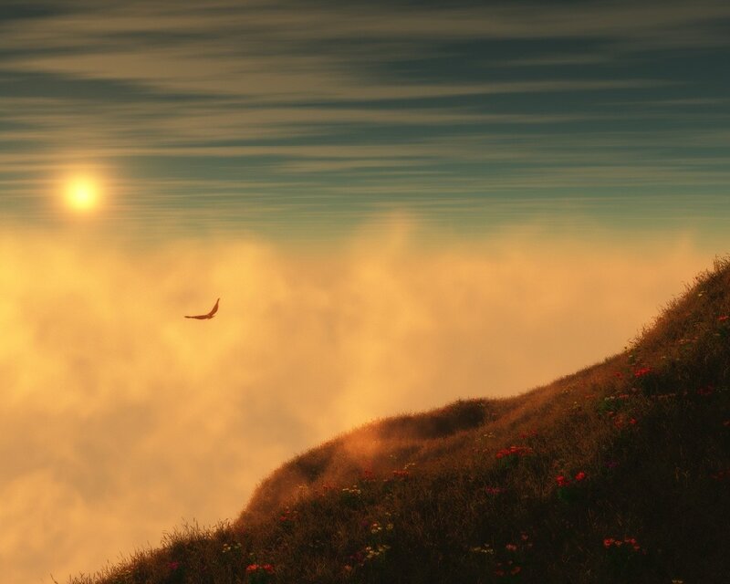 Bird Flying over Hill — Orange, Serene, Sunset, Digital Art, Sun, Clouds, Flowers, Green