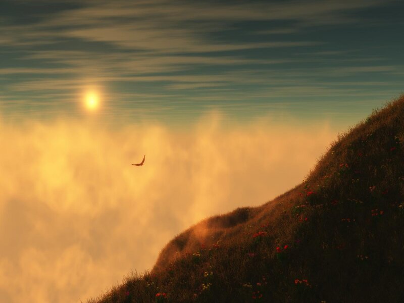 Bird Flying over Hill — Orange, Serene