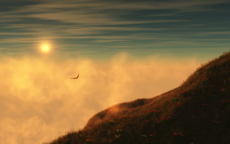 Bird Flying over Hill — Orange