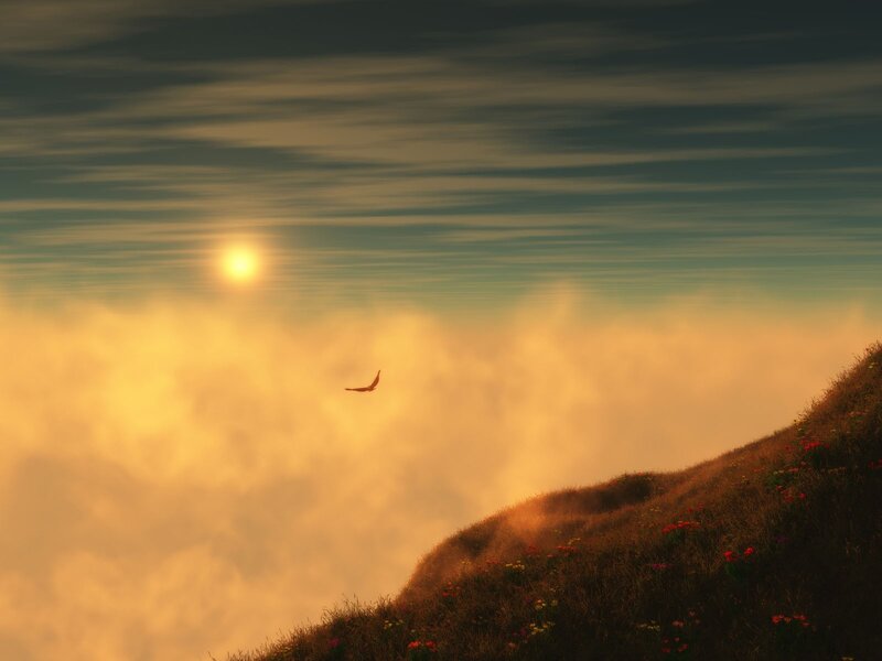 Bird Flying over Hill — Sunset