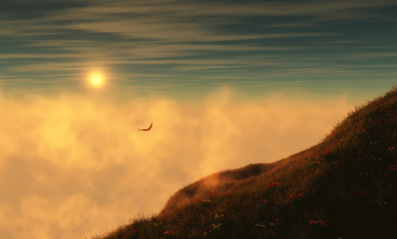 Bird Flying over Hill