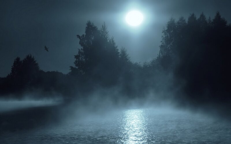 Bird Flying over Lake — Blue, Dark