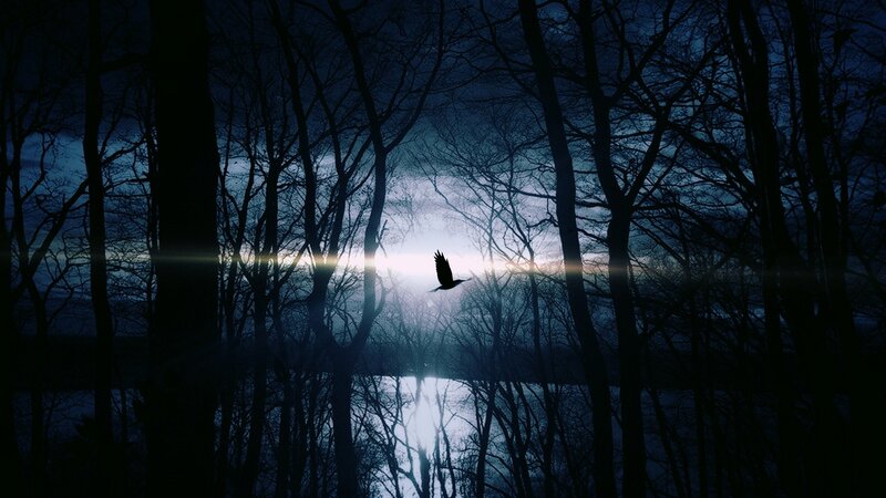 Bird Flying over Lake — Blue, Dramatic