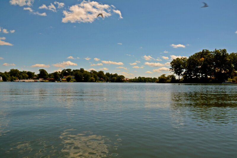 Bird Flying over Lake — Blue, Serene, Afternoon, Photograph