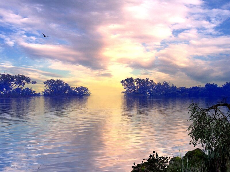 Bird Flying over Lake — Blue, Serene, Sunset