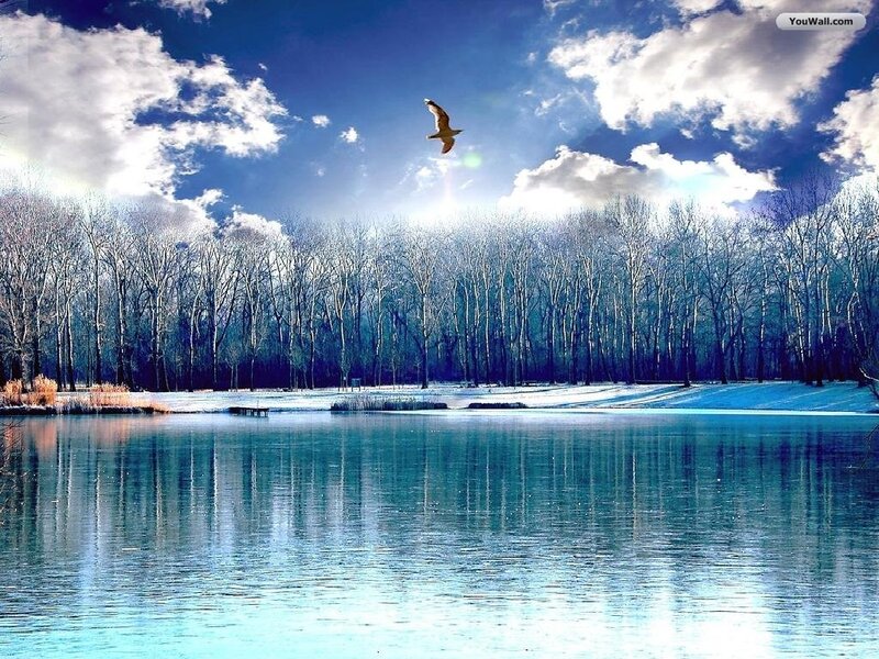 Bird Flying over Lake — Blue, Serene, Winter