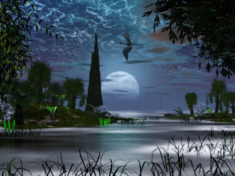 Bird Flying over Lake — Blue