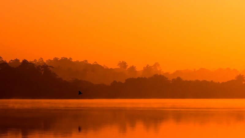 Bird Flying over Lake — Orange, Serene, Sunset, Photograph