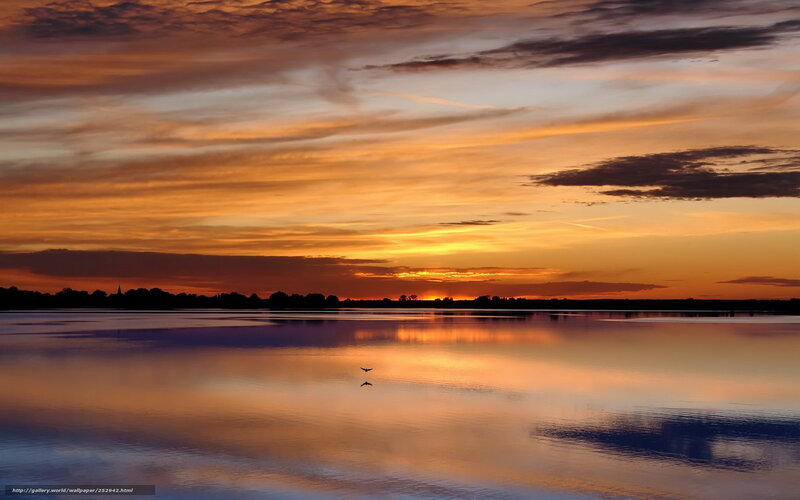 Bird Flying over Lake — Orange, Serene