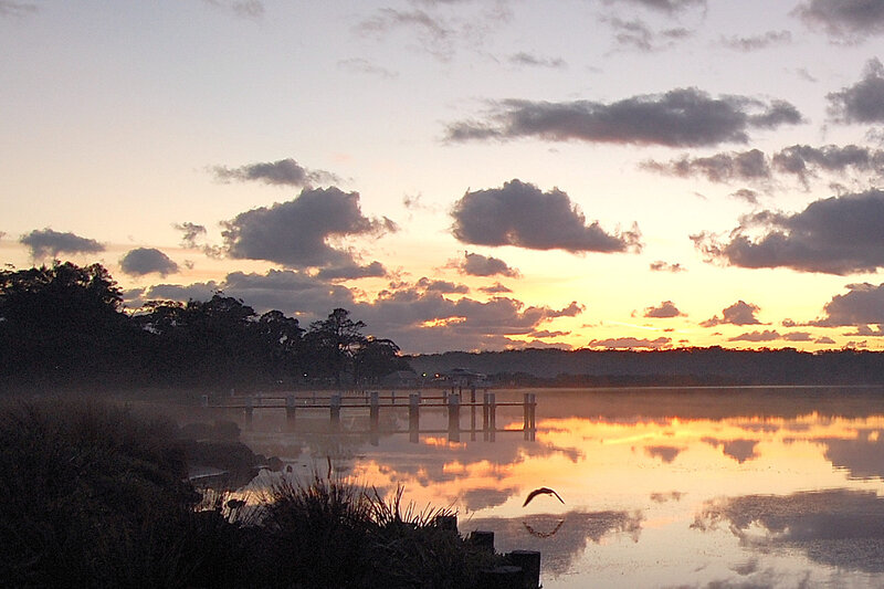 Bird Flying over Lake — Orange