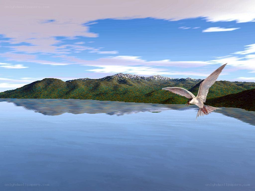 Bird flying over lake with mountains