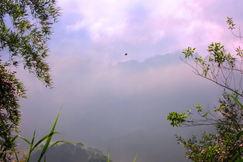 Bird Flying over Misty Mountains