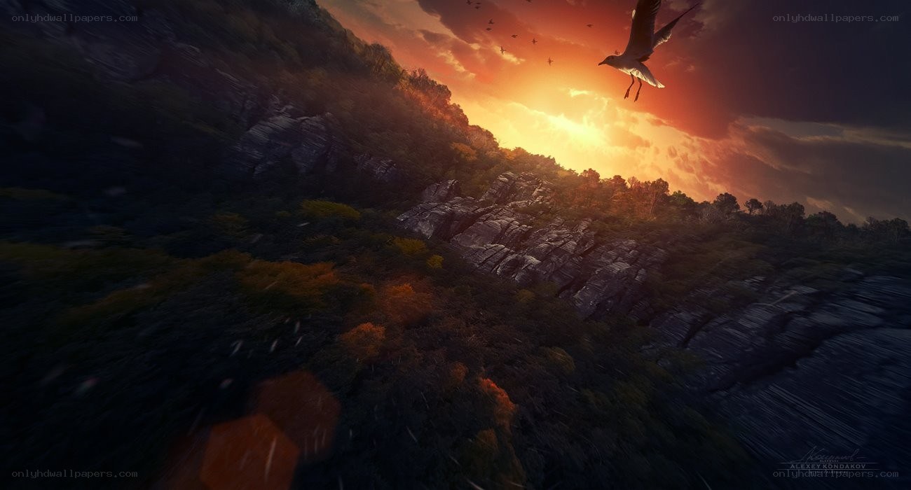 Bird flying over mountain at sunset