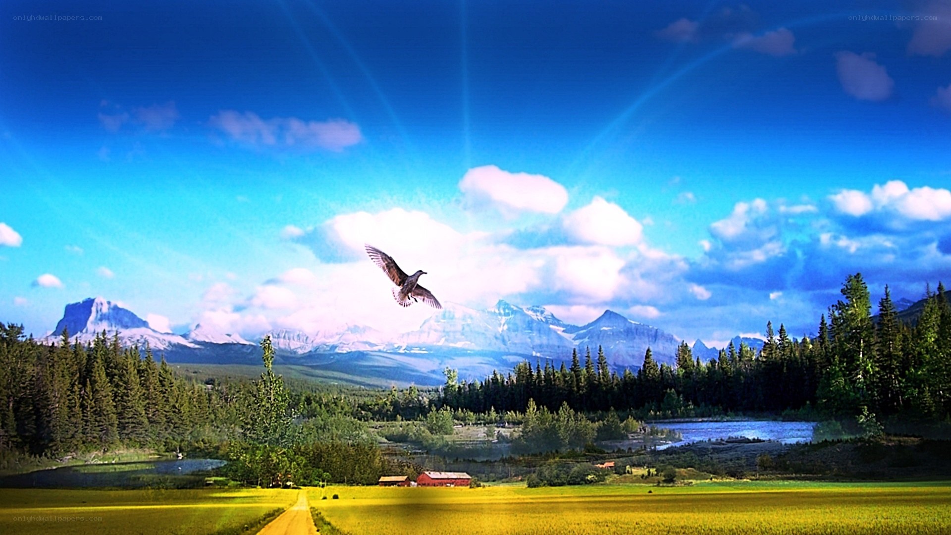 Bird flying over mountain valley