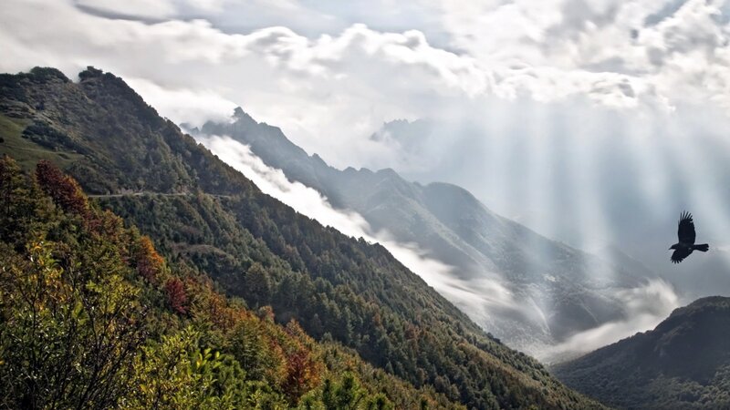 Bird Flying over Mountains — Green, Dramatic