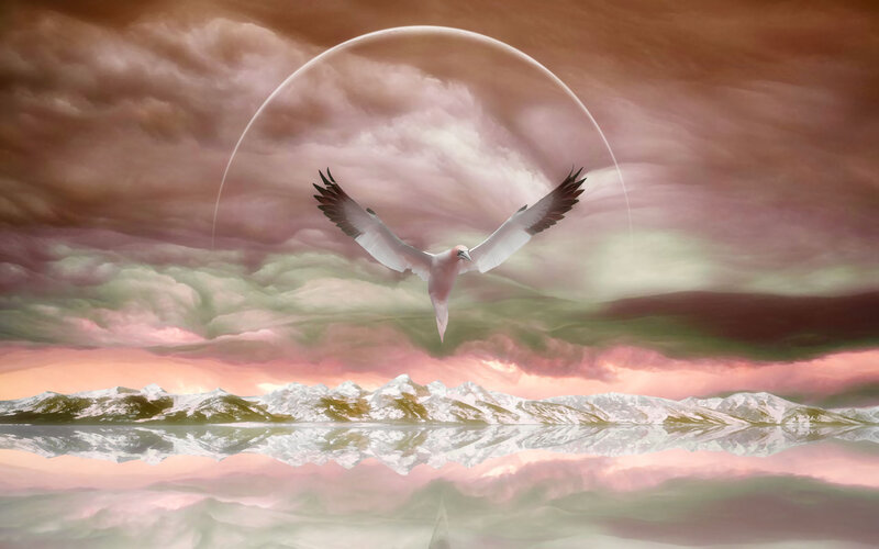 Bird Flying over Mountains — Pink