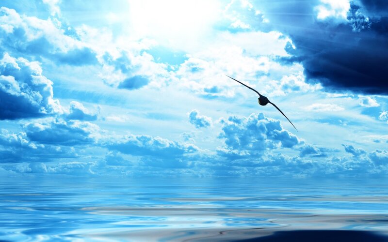 Bird Flying over Ocean — Blue, Serene, Afternoon, Photograph, Clouds