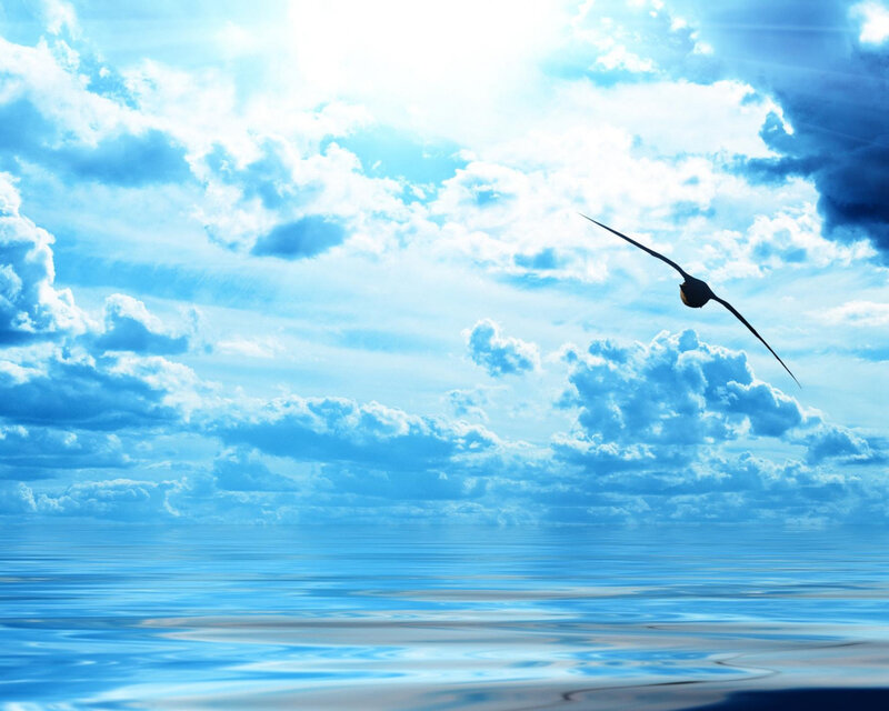 Bird Flying over Ocean — Blue, Serene, Afternoon