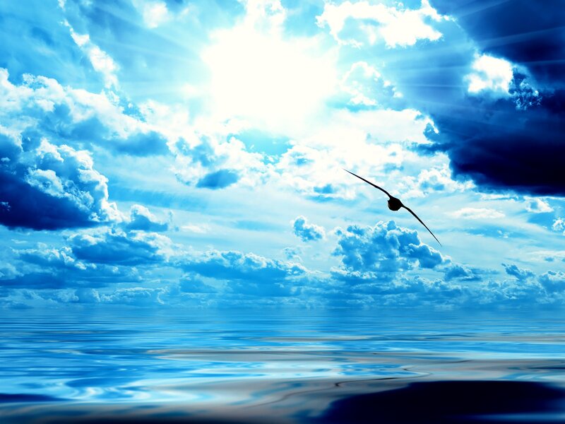 Bird Flying over Ocean — Blue, Serene