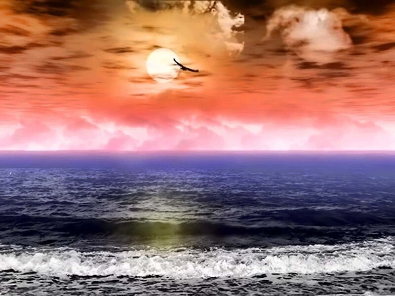 Bird Flying over Ocean — Orange, Dramatic, Sunset, Digital Art