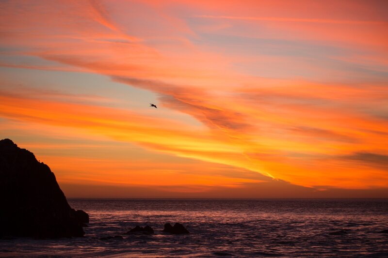 Bird Flying over Ocean — Orange, Dramatic, Sunset