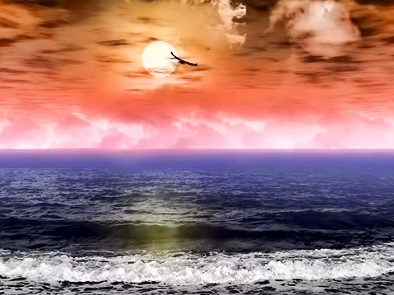 Bird Flying over Ocean — Orange
