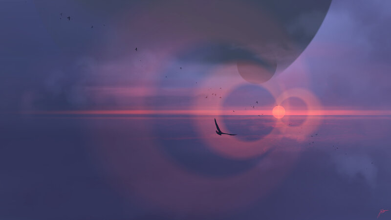 Bird Flying over Ocean — Purple, Serene