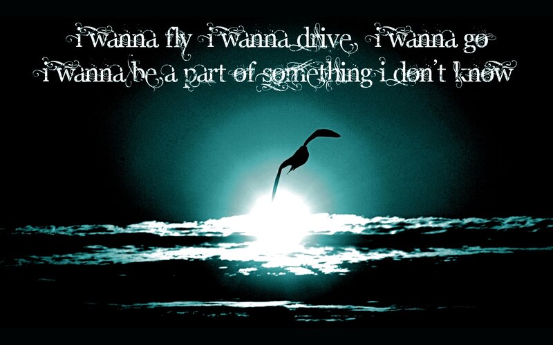 bird flying over ocean