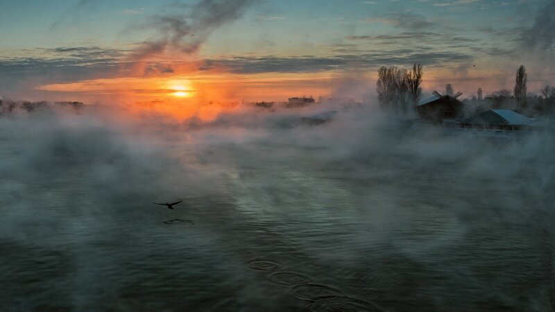Bird Flying over River — Orange, Serene, Sunrise, Photograph