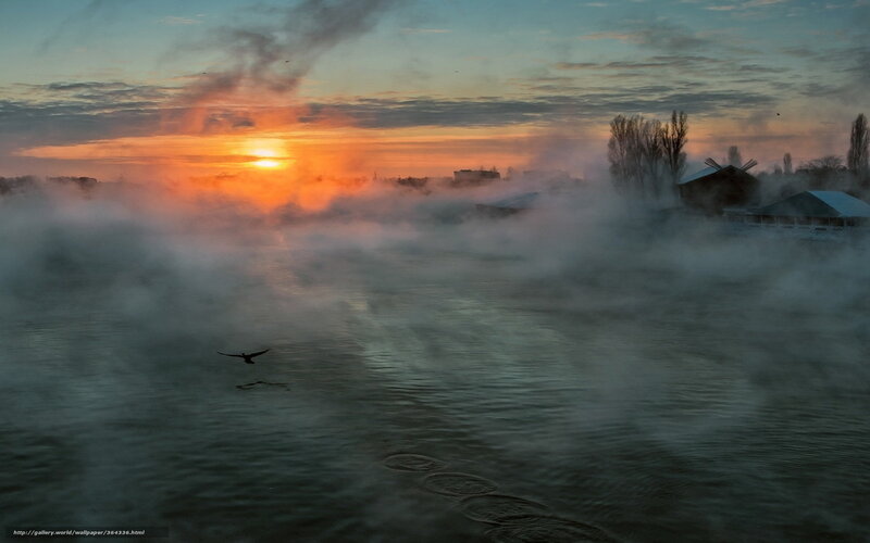Bird Flying over River — Orange, Serene, Sunrise