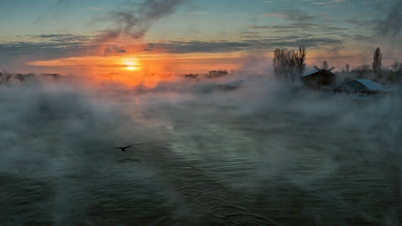 Bird Flying over River — Orange, Serene