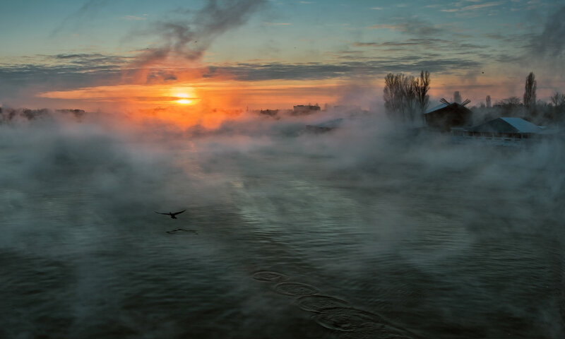 Bird Flying over River — Orange