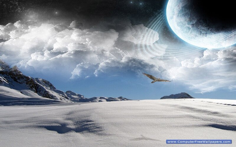 Bird Flying over Snow — White, Dramatic