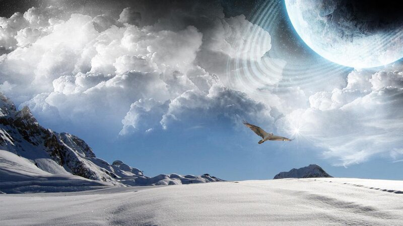 Bird Flying over Snow — White, Dramatic, Winter