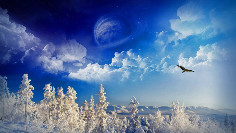 Bird Flying over Snowy Forest — Blue, Dramatic