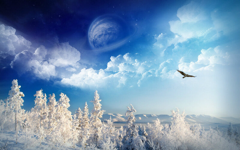 Bird Flying over Snowy Forest — Blue