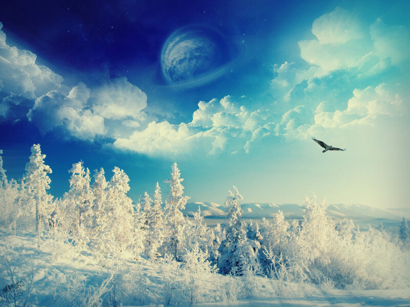 Bird Flying over Snowy Forest