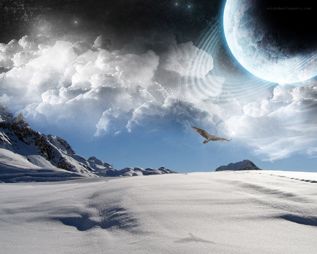 Bird flying over snowy landscape