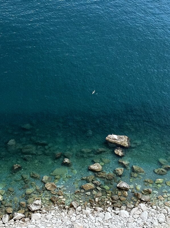 Bird Flying over Water — Blue, Serene, Photograph, Rocks