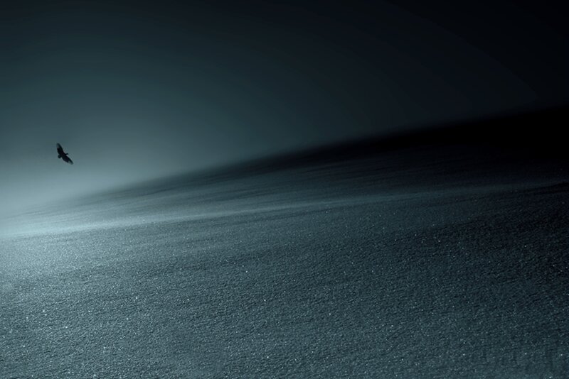Bird Flying over Water — Blue