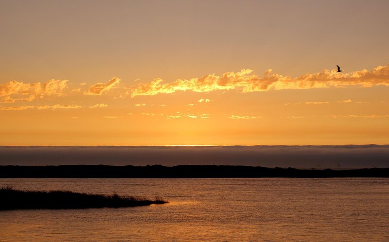 Bird Flying over Water — Orange, Serene, Sunset, Photograph, Clouds, Yellow