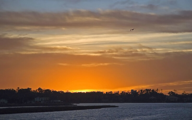 Bird Flying over Water — Orange, Serene, Sunset, Photograph, Sky, Trees, Blue