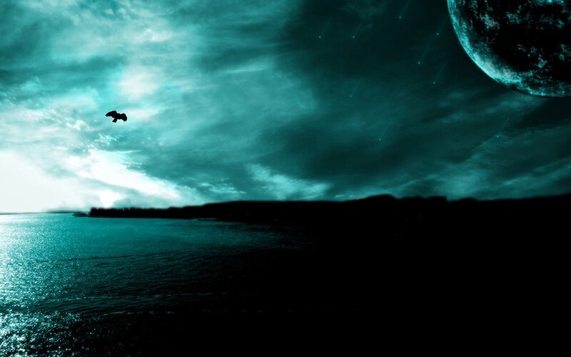 Bird Flying over Water — Teal