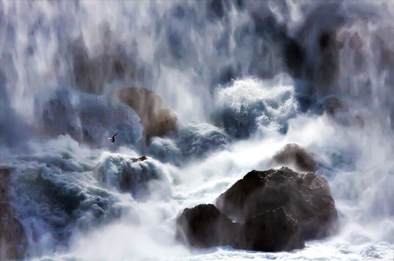 Bird Flying over Waves