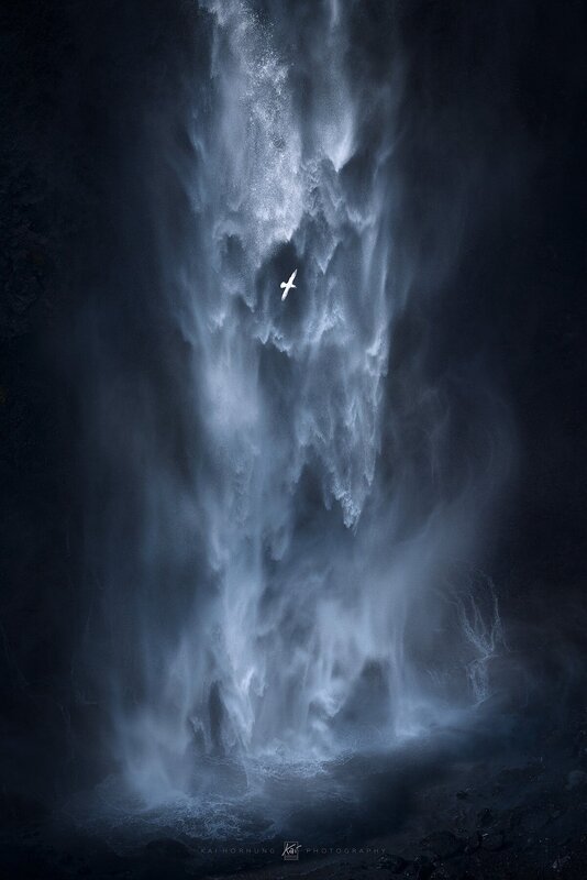 Bird Flying Through Waterfall